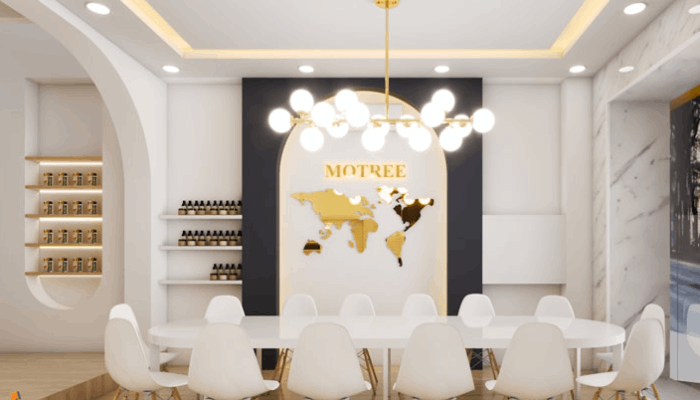 thiết kế nội thất showroom