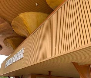 Ốp Tường - Trần Hobi Wood