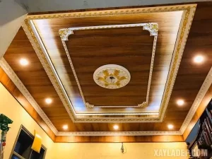 Trần la phông nhựa 25cm